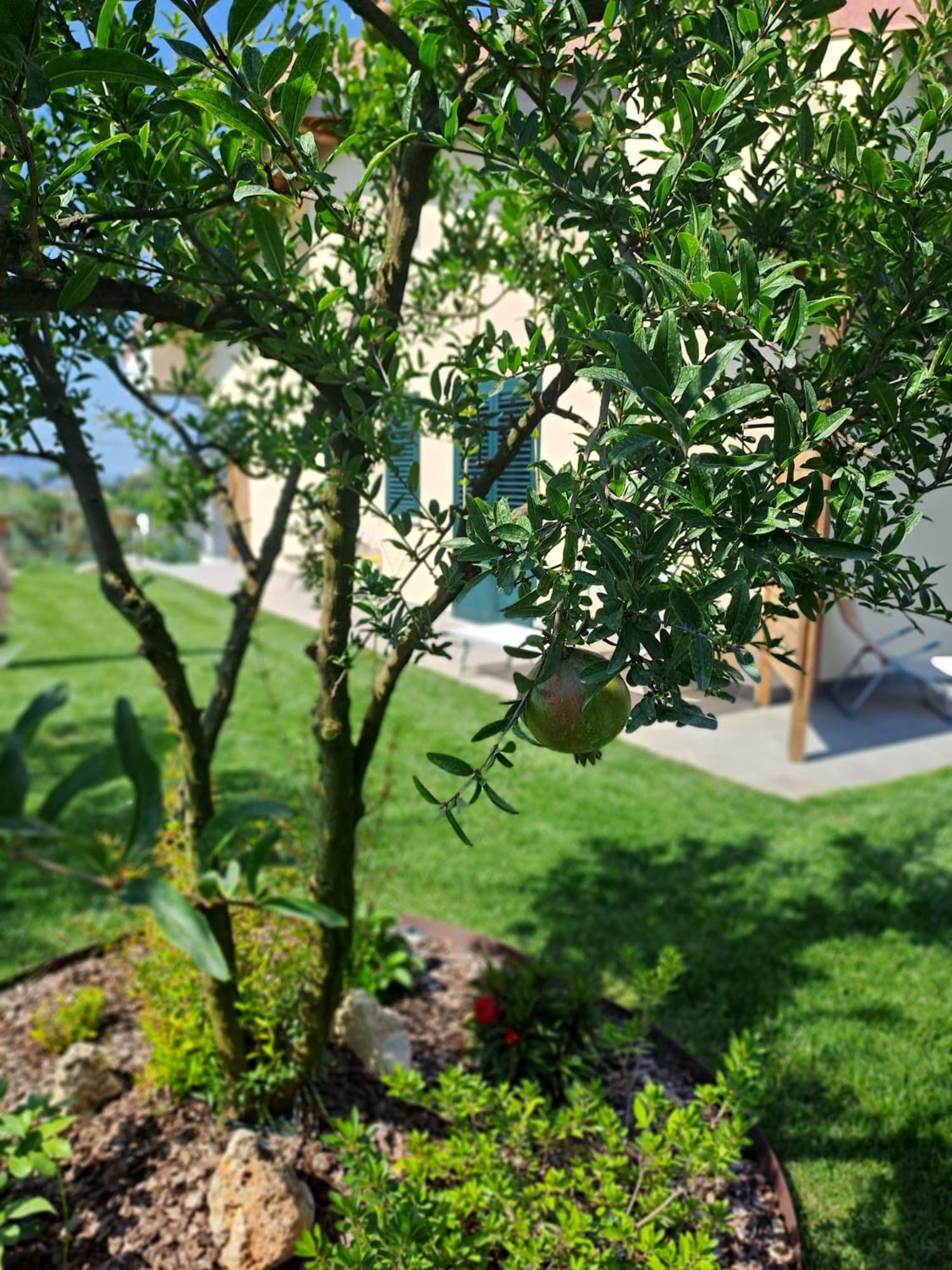 Bed and Breakfast La Campagna Di Peppe E Tullia Formia Exteriér fotografie